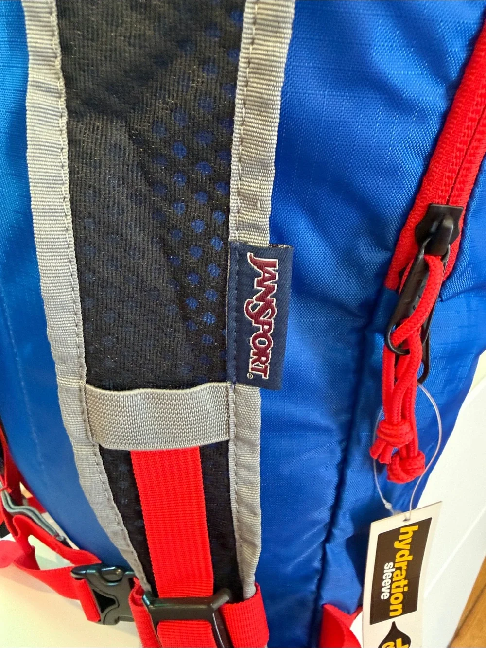 JanSport Sinder 20 Backpack - Blue Streak